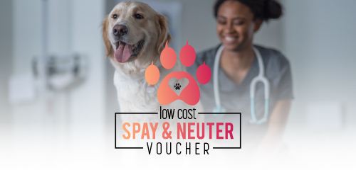 Low Cost Pet Spay/Neuter Voucher