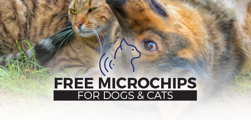 Free microchip